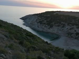 Il Lentischio - Rosmarino