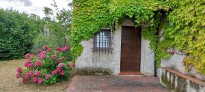 Casale Nel Cilento