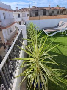 Cala Luna-few steps from the beach