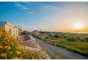 Iliovasilema Holiday House