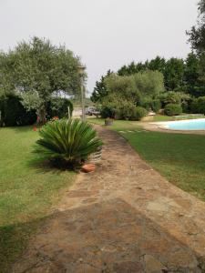 Casa Pito Pito img10