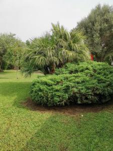 Casa Pito Pito img11