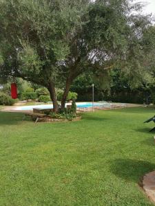 Casa Pito Pito img17