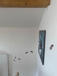 Les 3 Marmottes - centre Samoëns