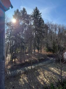 Apartamenty Przy Lesie