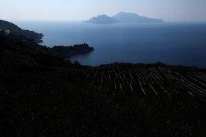 Agriturismo Le Tore