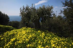 Agriturismo Le Tore
