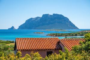 Villa Cactus, Costa Corallina img17