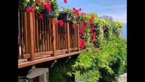 Splendido cottage Lakeview