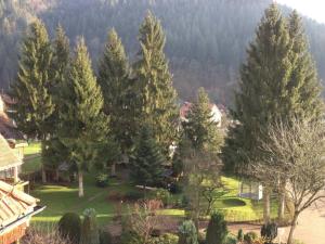 Hotel Garni Café Schacher