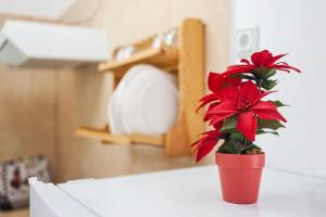 Apartamento en Centro Vejer