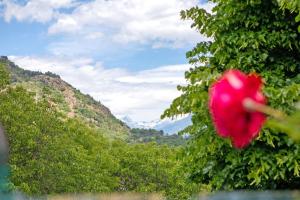 Nel Cuore della Via Francigena