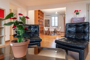 Chicas Lucca Luxury Loft