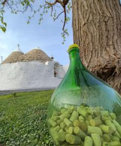 Trullo Negli Ulivi
