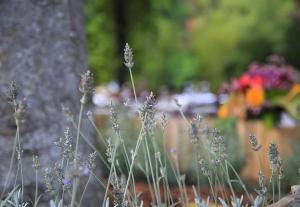 Podere La Miniera Room And Food