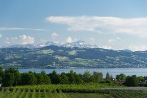 Ferienhaus Behler