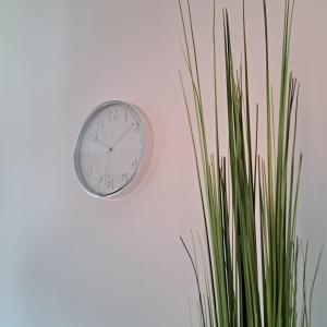 Ferienwohnung Paulus