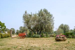 Agriturismo Bio Terre di Naioli