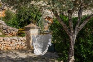 Finca Ses Coves