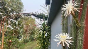 Himalaya Serene View Guest House & Farm Stay
