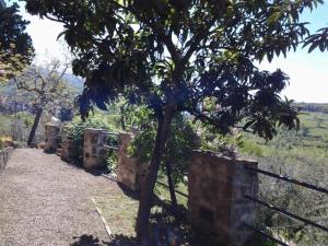 Agriturismo Fattoio alle Ripe