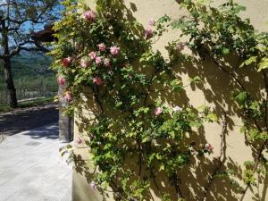 Agriturismo Fattoio alle Ripe