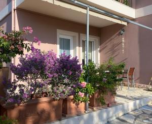Zoi apartment
