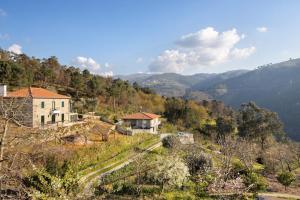 Quintinha De Pinouco