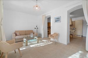 Domaine des Oliviers - Les Borrels