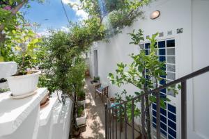 Casa Fiammetta
