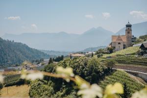 Oberegghof Ferienwohnung Laugen