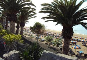 Las Tabaibas