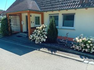 Ferienhaus Beim Wildenstein, 90qm