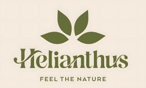 Helianthus