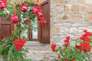 Agriturismo La Cipressaia