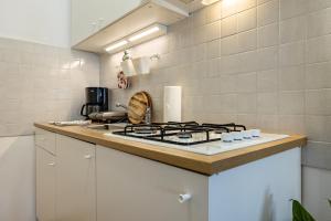 Panoramic Green Studio