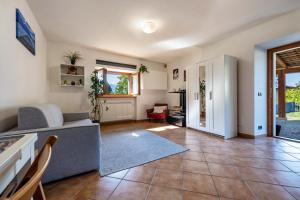 Panoramic Green Studio