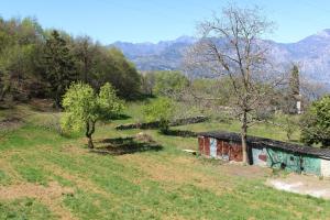 Panoramic Green Studio