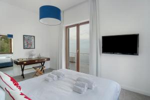 Luxury Villa La Balena Blu