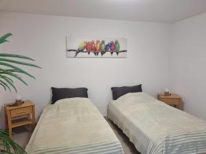 Ferienwohnung Rheinnähe