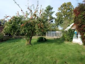 Ferienwohnung Naturglück