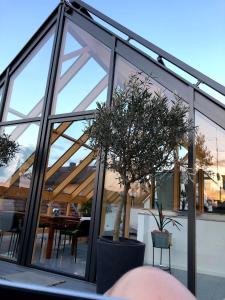 Traumhaftes Loft Wintergarten