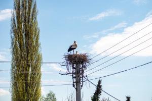 Vronis Ferienwohnungen