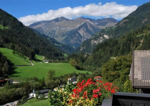 Residence Pichler Apartment 1