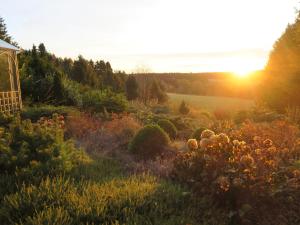 Ferienhaus Sonne Harz und Sterne