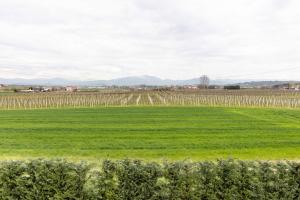 Agriturismo Casa Pezzo