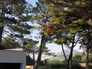 Casa de Santo António Moledo