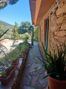 Casa de Canelas - Refugio Terroir
