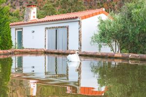 Selão da Eira Velha