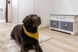 Ferienwohnung Küstenliebe